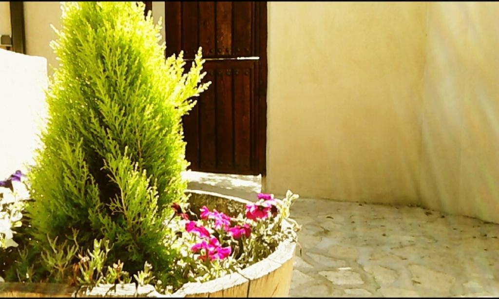 Gasthaus El Jardincillo Robledo de Chavela Exterior foto